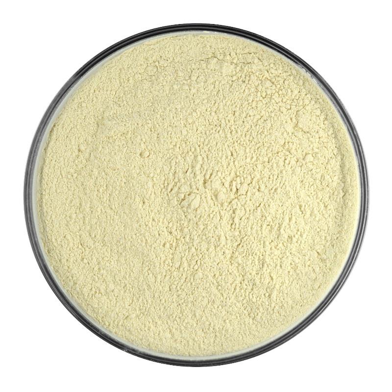 Organic onion | powder Bio Zwiebel | Pulver
