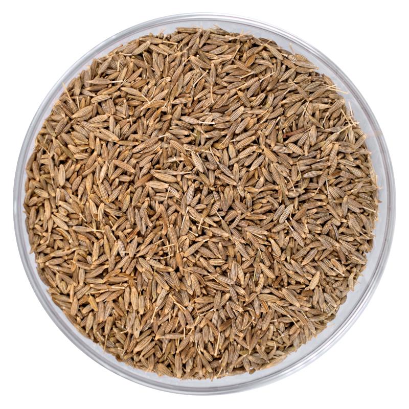 Cumin bio | entier Bio Cumin | Kreuzkümmel | ganz