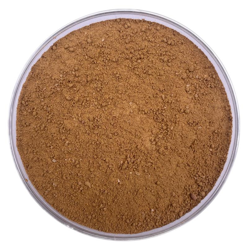 Bio Pumpkin Latte Topping | Gewürzzubereitung Bio Pumpkin Latte Topping | Gewürzzubereitung