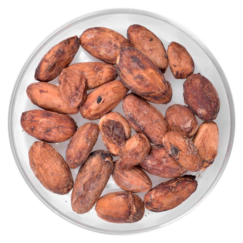 Fèves de cacao bio | entier | brut Bio Kakao | Criollo | Bohnen | roh 50-52%