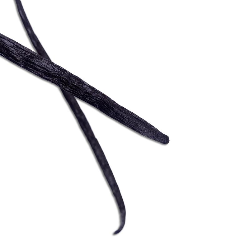 Bio Bourbon Vanille | Schoten 18/20cm