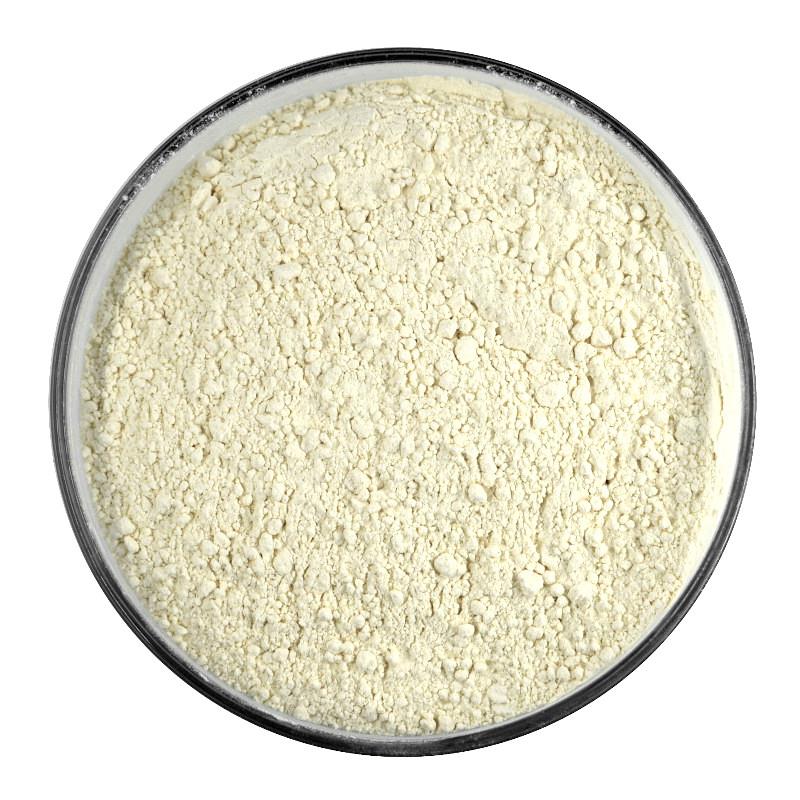 Bio Knoblauch | Pulver Bio Knoblauch | Pulver